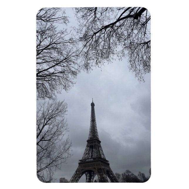 Visa på Eiffel Torn, Paris, Frankrike Magnet (Vertikal)