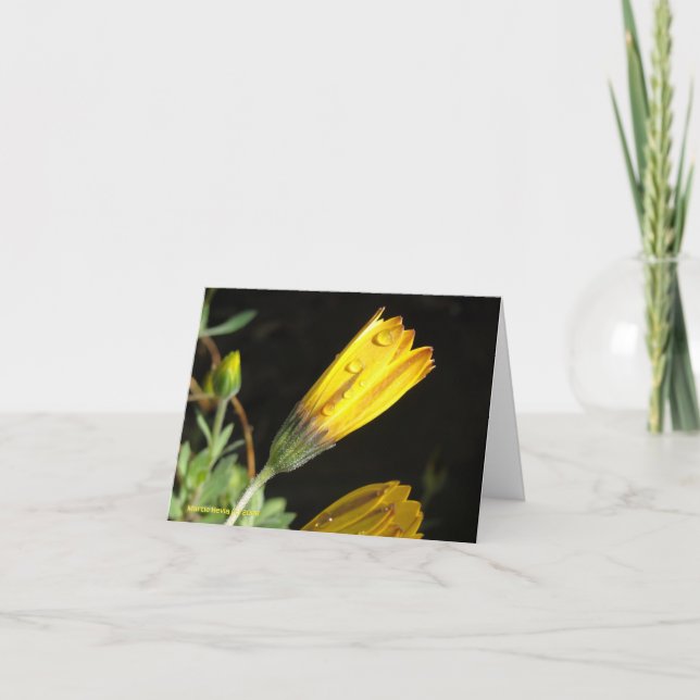 Visa på en Gult-Daisy - anteckningskort (Framsida)