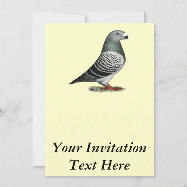 Visa Pigeon för Racer Blue Checker Inbjudningar (Framsida)