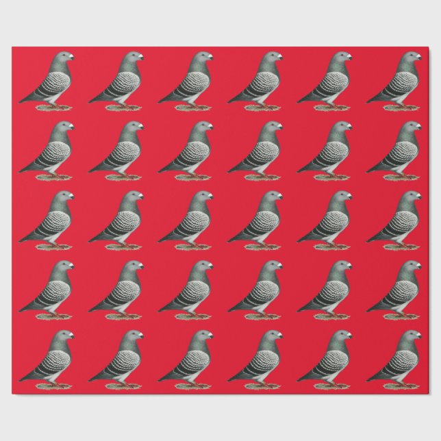 Visa Pigeon för Racer Blue Checker Presentpapper (Seam)