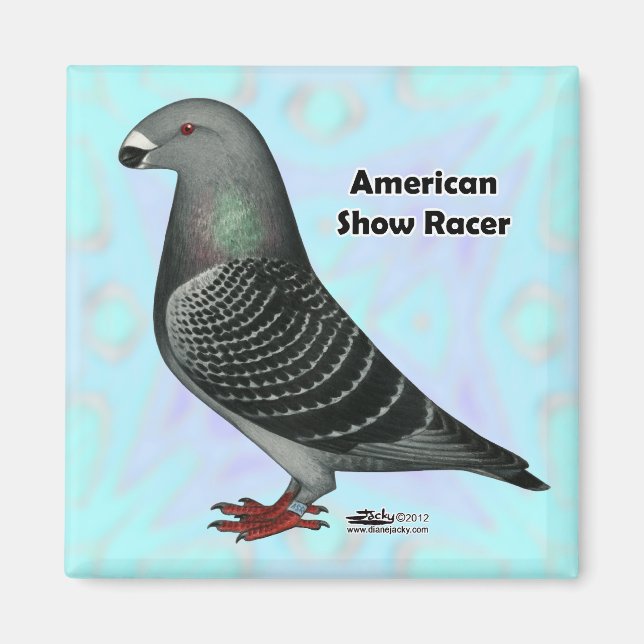 Visa Racer ASR Magnet (Framsidan)