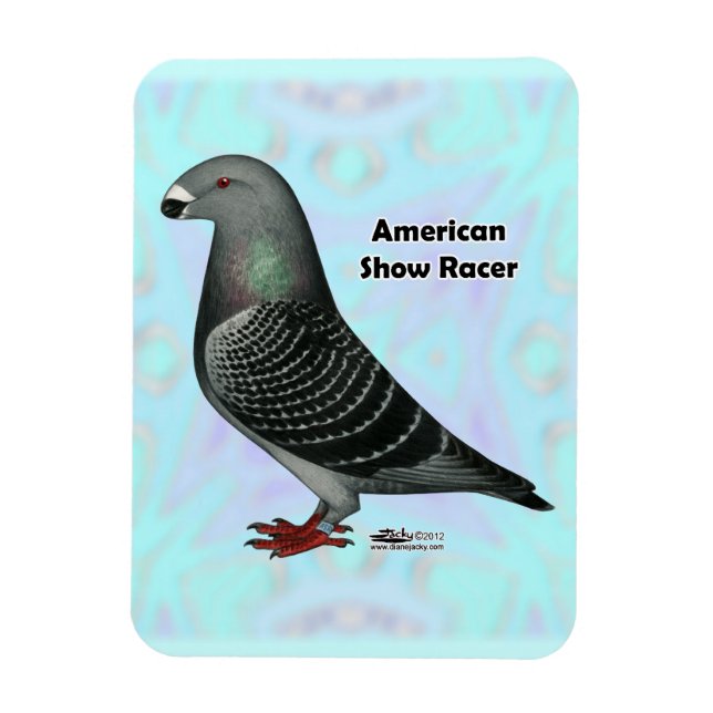 Visa Racer ASR Magnet (Vertikal)