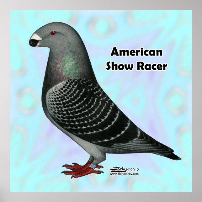 Visa Racer ASR Poster (Framsidan)