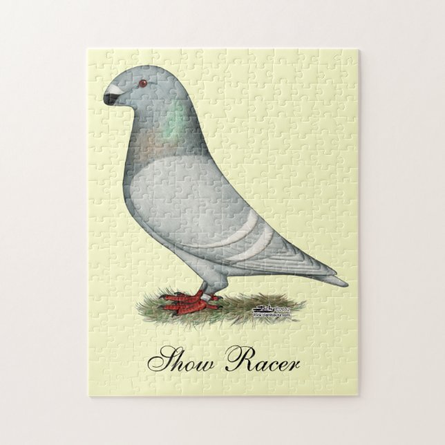Visa Racer Concept Hen Pussel (Vertikal)