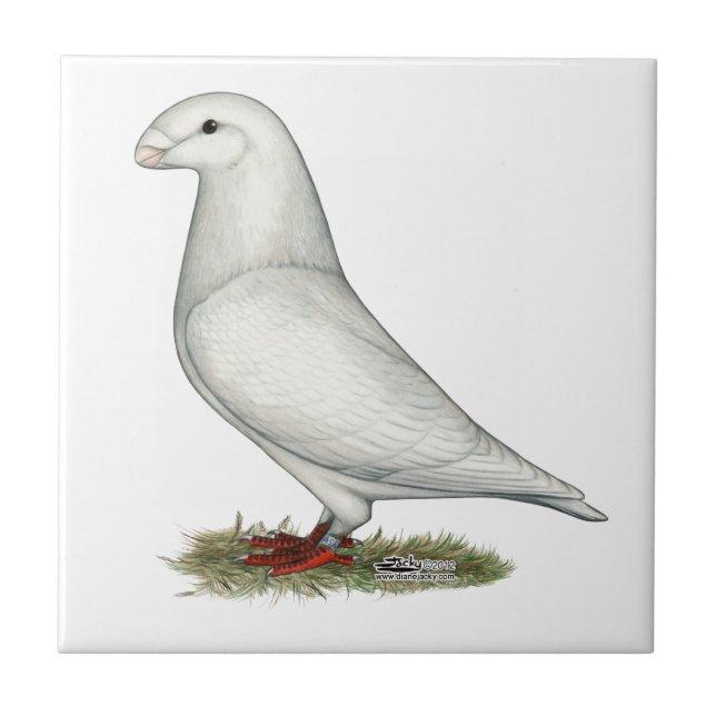 Visa Racer White Kakelplatta (Framsidan)