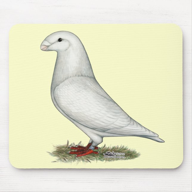 Visa Racer White Musmatta (Framsidan)