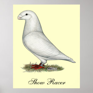 Visa Racer White Poster