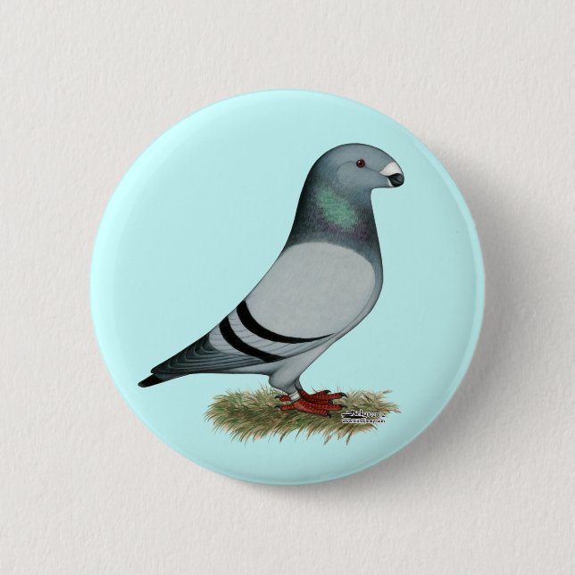 Visa Racerbegreppet Knapp (Framsida)