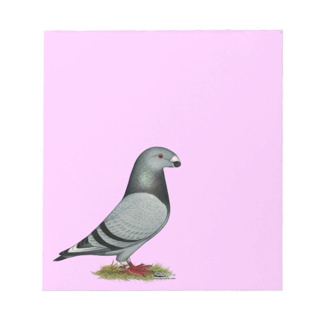 Visa rasismfelmarkering anteckningsblock (Framsida)