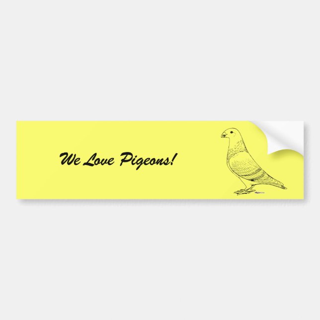 Visa rasismkontur bildekal (Framsidan)