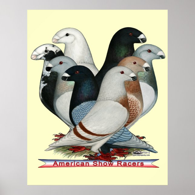 Visa rasistiska fält åtta poster (Framsidan)