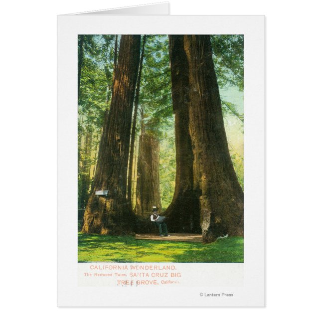 Visa Redwood-Twillingar vid Big Träd Grove Hälsningskort (Framsidan)