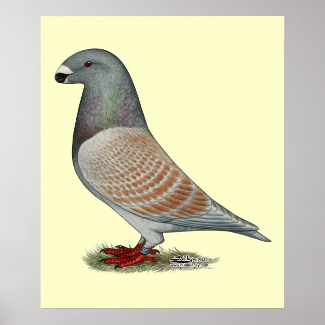 Visa regressiv opal för bildskärm poster (Framsidan)