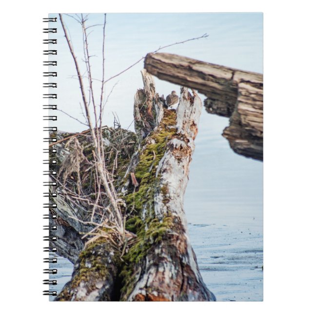 Visa ruta anteckningsbok med spiral (Framsidan)