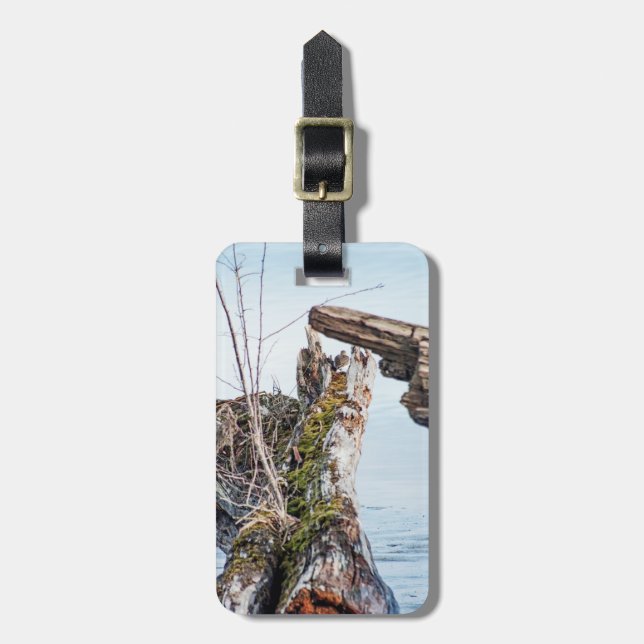 Visa ruta bagagebricka (Vertikal Framsida)