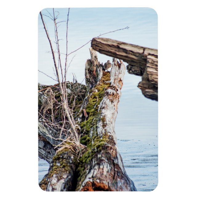 Visa ruta magnet (Vertikal)