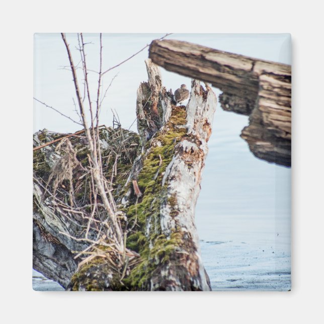 Visa ruta magnet (Framsidan)