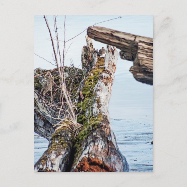 Visa ruta vykort (Framsida)