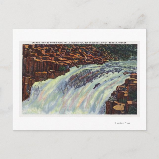 Visa Salmon Jumping Slå Bowl Falls Vykort (Framsida)