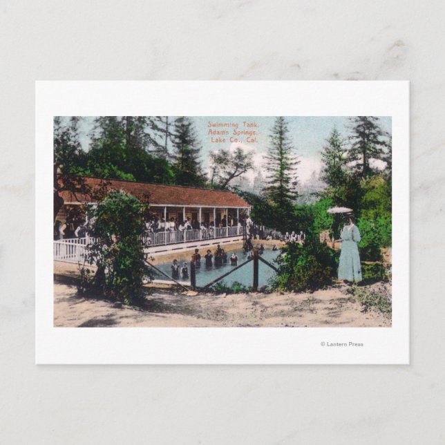 Visa simningspoolAdams Vår, CA Vykort (Framsida)