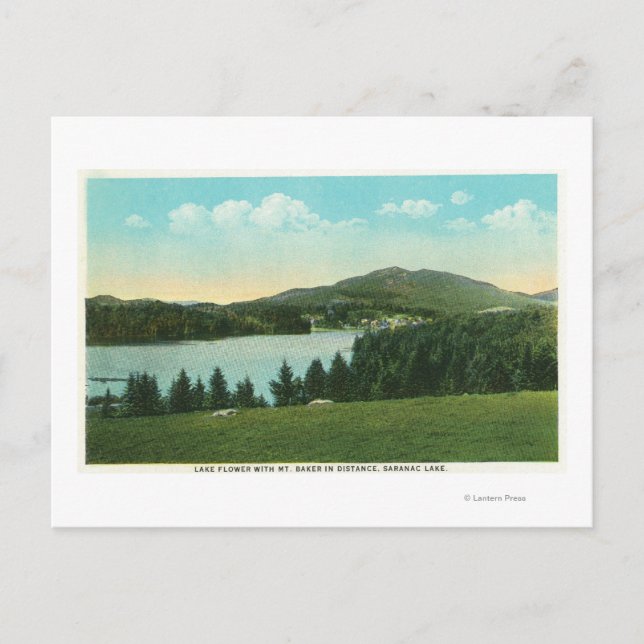 Visa Sjö-blomman med Mt. Baker i Avstånd Vykort (Framsida)