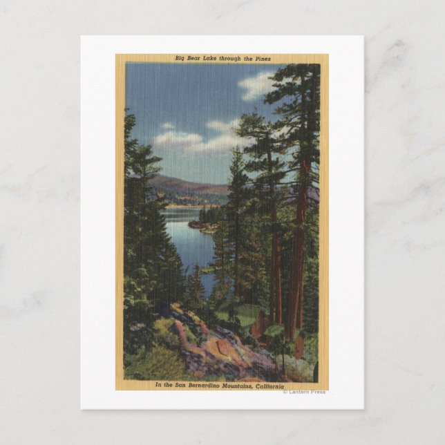 Visa Sjö genom Gräs # 2 Vykort (Framsida)