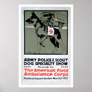 Visa specialitet för hund (US00277) Poster
