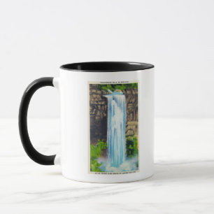 Visa Taughannock Falls Mugg