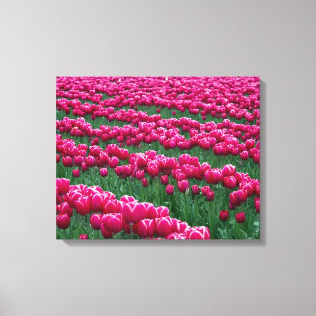 Visa trädgård med vårblommande tulpanlökar i canvastryck (Framsida)