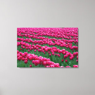 Visa trädgård med vårblommande tulpanlökar i canvastryck