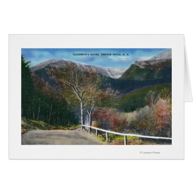 Visa Tuckermans Ravine Hälsningskort (Framsidan Horizontal)