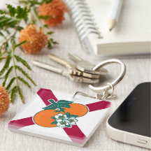 Visa upp dina färger - Florida