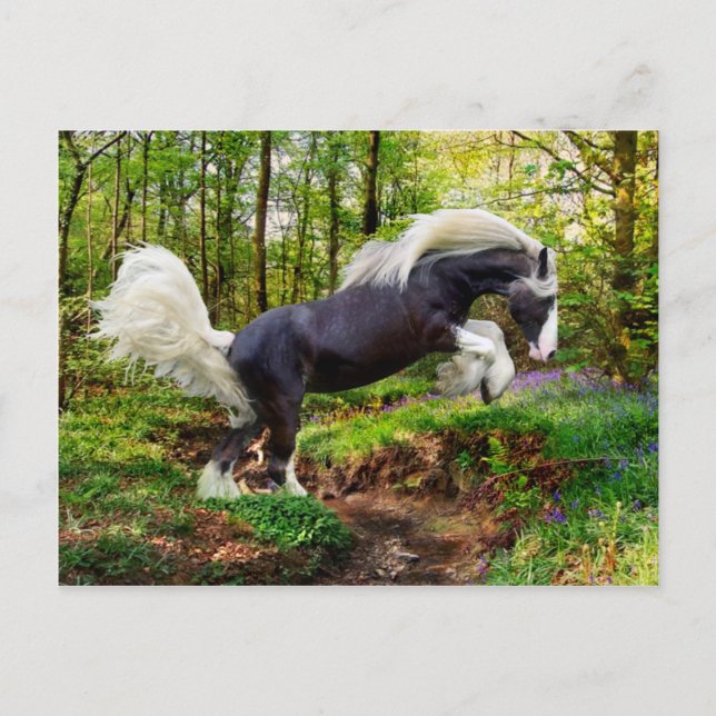 "Visa upp sig" Vykort (Framsida)