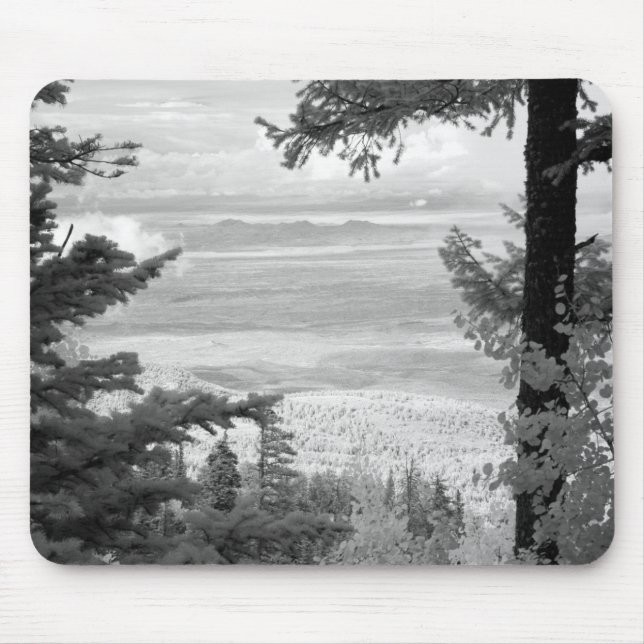 Visa väster från vapenskölden Sandia, Mountains. Musmatta (Framsidan)