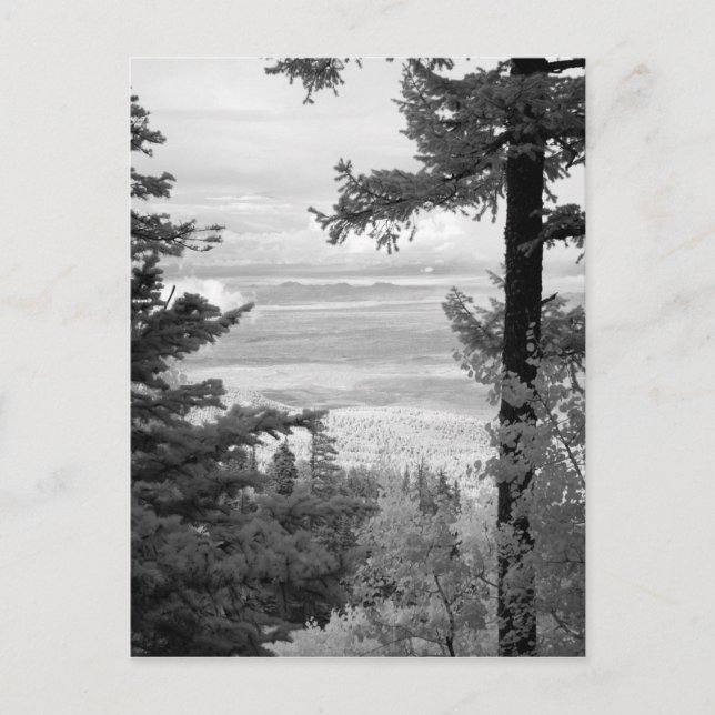 Visa väster från vapenskölden Sandia, Mountains. Vykort (Framsida)