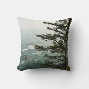 Visa vid Simpson Reef Overlook, Oregon Kusten Kudde