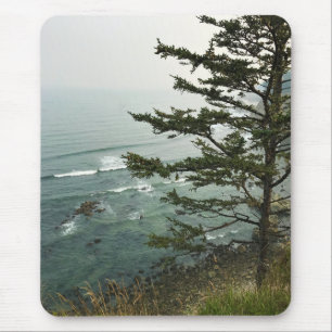 Visa vid Simpson Reef Overlook, Oregon Kusten Musmatta