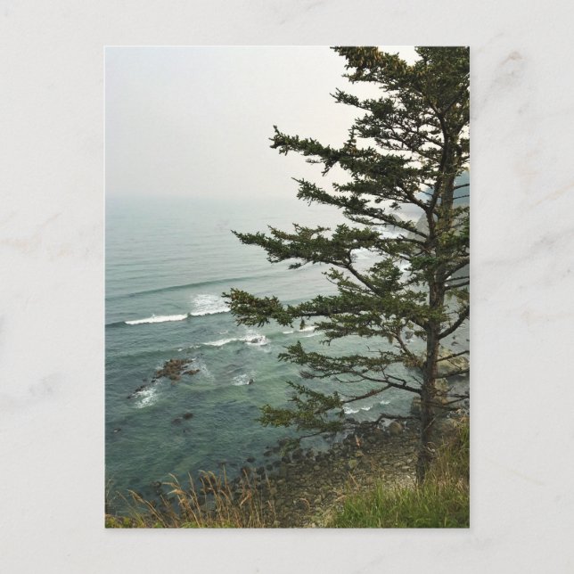 Visa vid Simpson Reef Overlook, Oregon Kusten Vykort (Framsida)