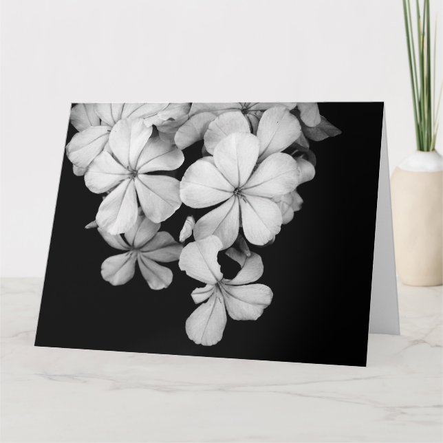 &Visa vykort (Framsida)