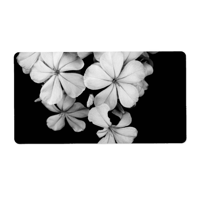 &Visa vykort Fraktsedel (Framsidan)