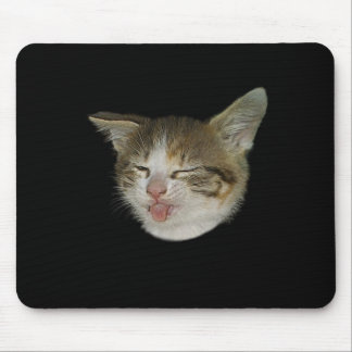 Visage amusant de chaton mignon qui grimace musmatta