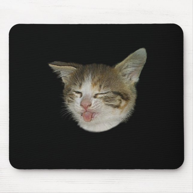 Visage amusant de chaton mignon qui grimace musmatta (Framsidan)