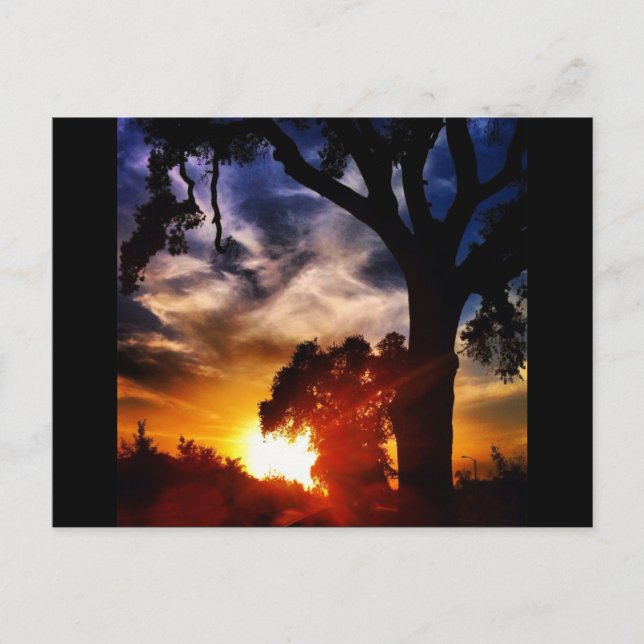 Visalia Sunset-vykort Vykort (Framsida)