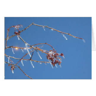 Visar gnistra i solljus mot blå himmel hälsningskort