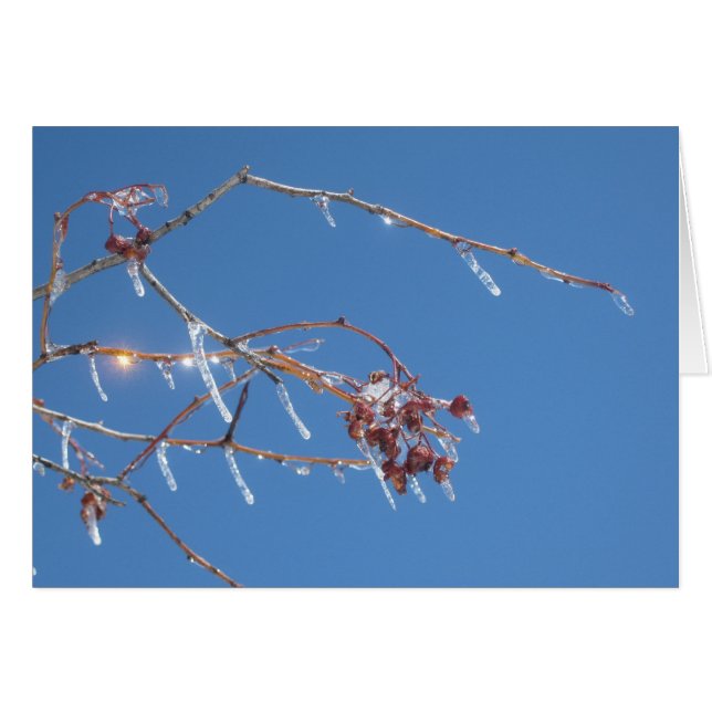 Visar gnistra i solljus mot blå himmel hälsningskort (Framsidan Horizontal)