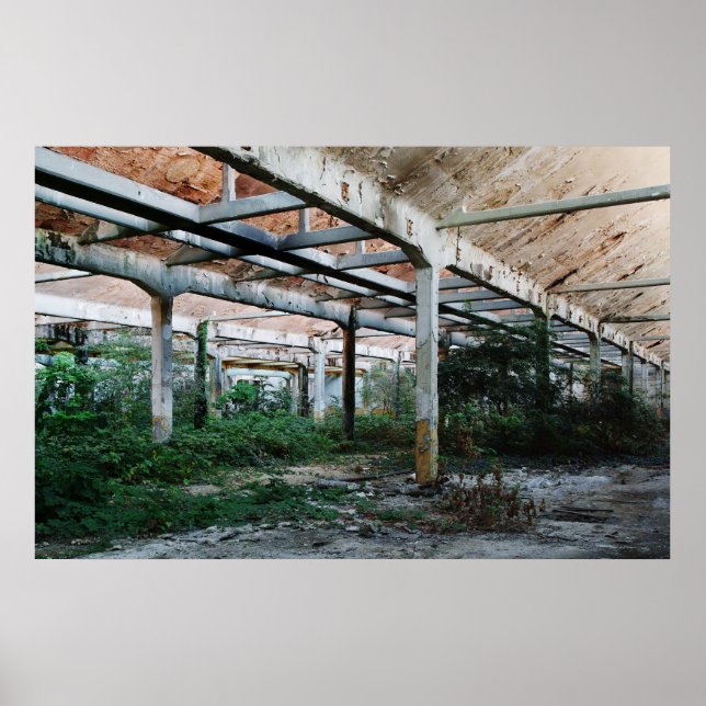 Viscosa 6 poster (Framsidan)