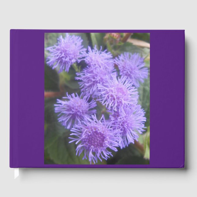 VisCountess. Gästböcker (Framsida)