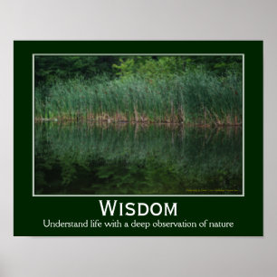Visdom citerar brev i Pond-inspiration Poster