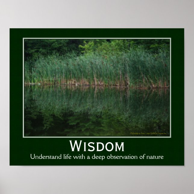 Visdom citerar brev i Pond-inspiration Poster (Framsidan)