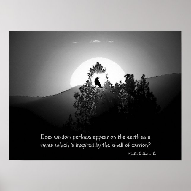 Visdom som en räv poster (Framsidan)